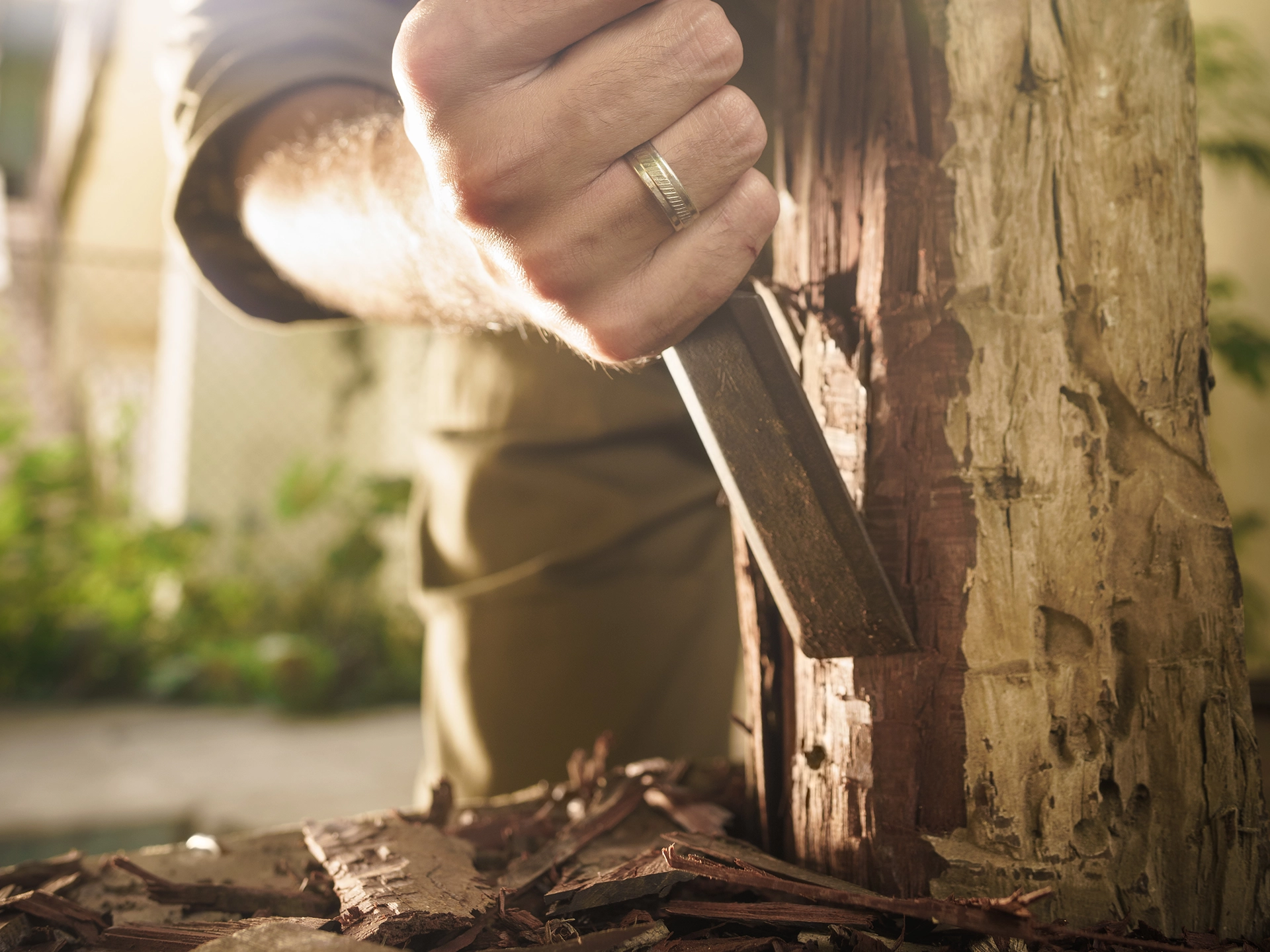 Handwerkzeug: Hammer und Meißel auf Holzuntergrund – Nahaufnahme von Stahlkopf und ergonomischem Holzgriff
