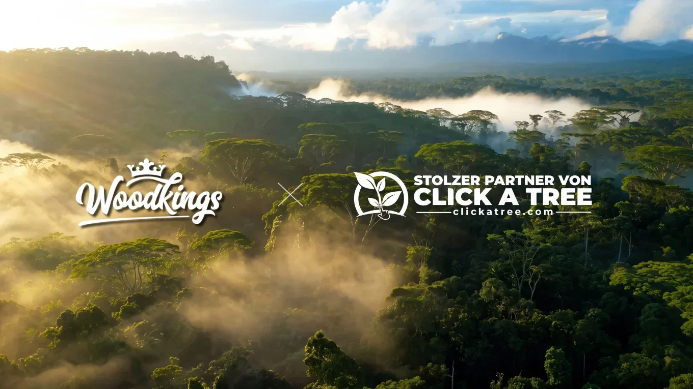 Woodkings- und Click-A-Tree-Logo vor einer weitläufigen grünen Waldlandschaft mit Nebel und Sonnenlicht
