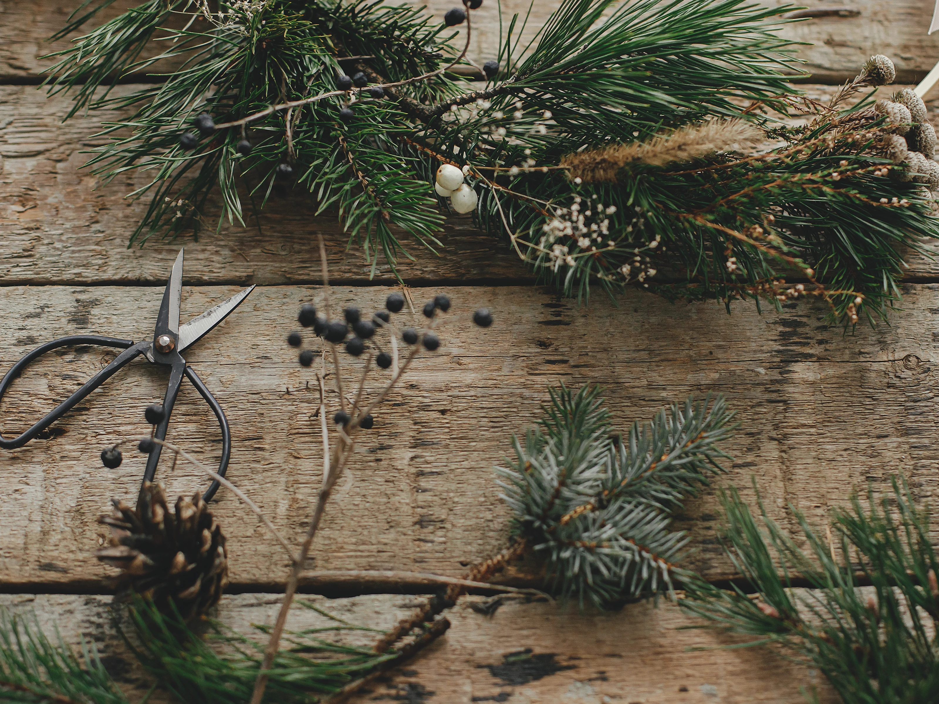 Gemütliches Wohnzimmer mit Sofa, Holzkommode, Kissen und Decke, warmem Licht, Teppich und Zimmerpflanzen — einladendes Ambiente.