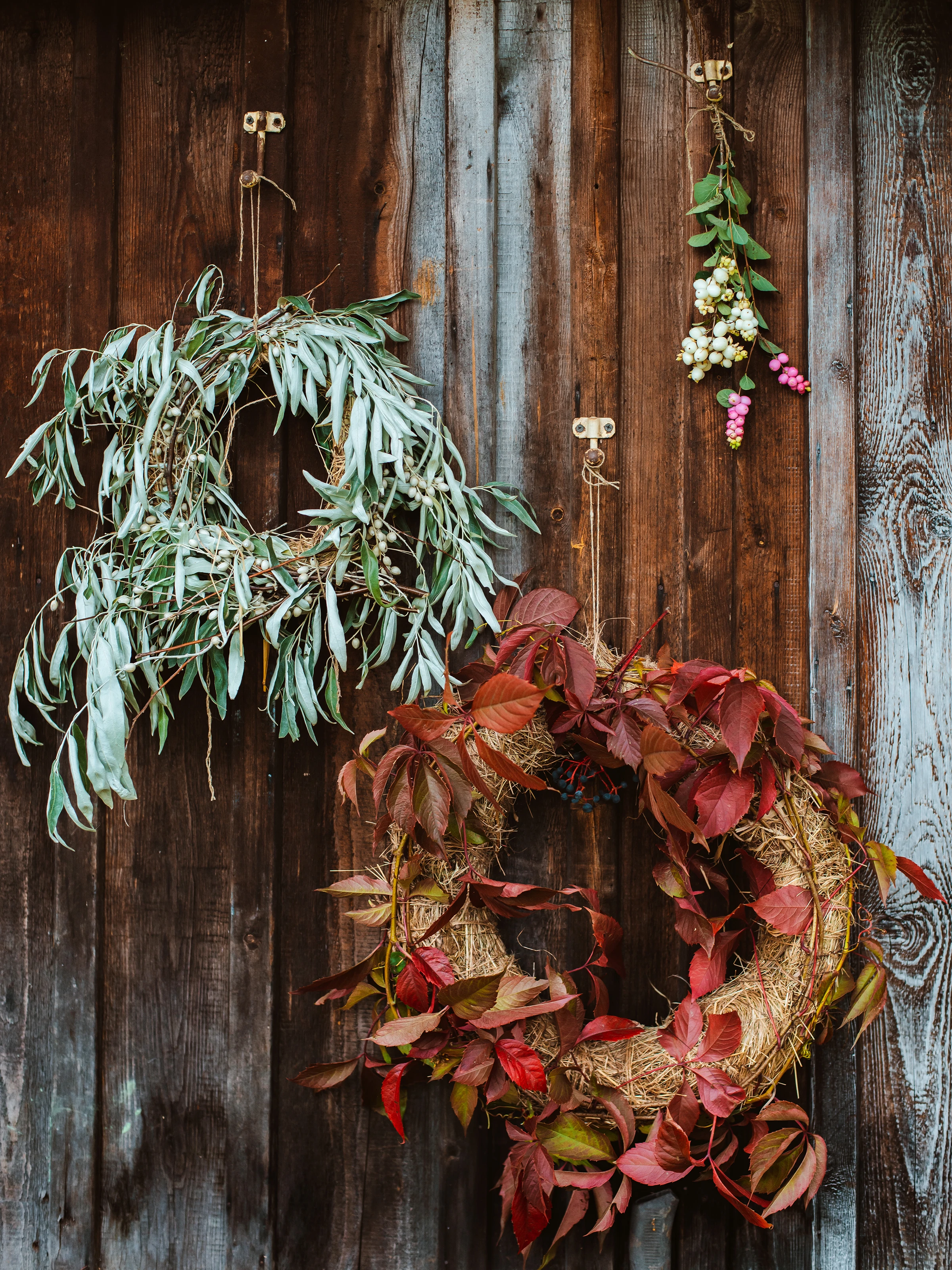 Gemütliches Wohnzimmer mit hellgrauem Sofa, Holz-Couchtisch, Teppich und Pflanzen – warme Holz- und Naturakzente, moderner Stil.