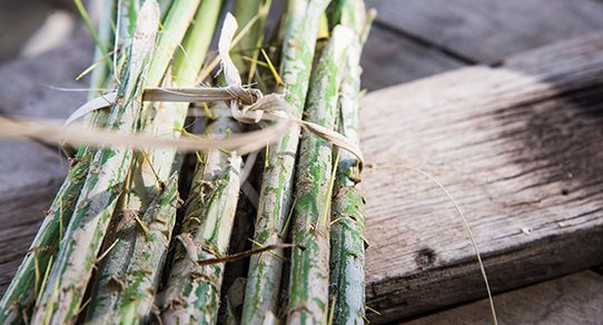 Naturfarbenes Rattan Peddigrohr in Rollen, feines geflochtenes Bastmaterial für Korbmacher-, Möbel- und Dekoprojekte