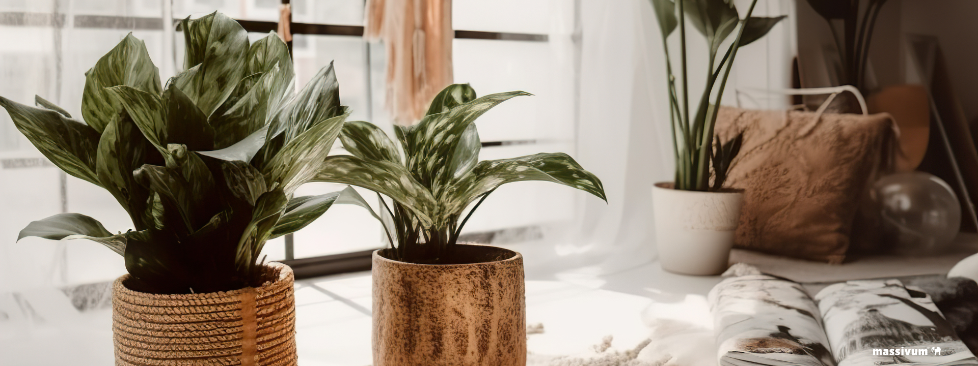 Helles Wohnzimmer mit vielen Zimmerpflanzen auf Holzregalen und Tischen, gemütliches grünes Interior im skandinavischen Stil.