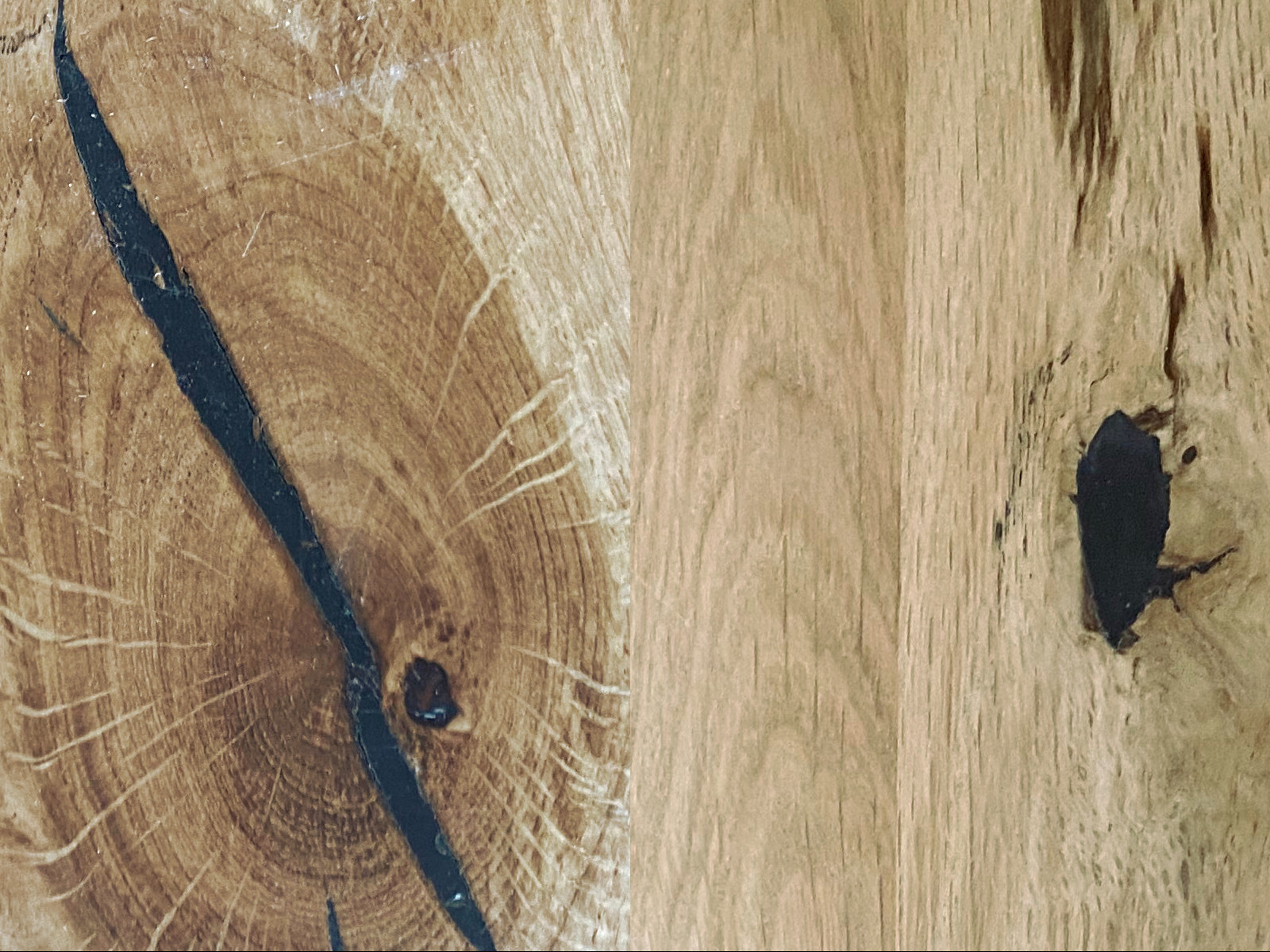 Wildeiche-Holzplatte, Nahaufnahme: rustikale Maserung in warmen Braun- und Honigtönen; naturbelassene Holzstruktur ideal für Möbel und Böden.