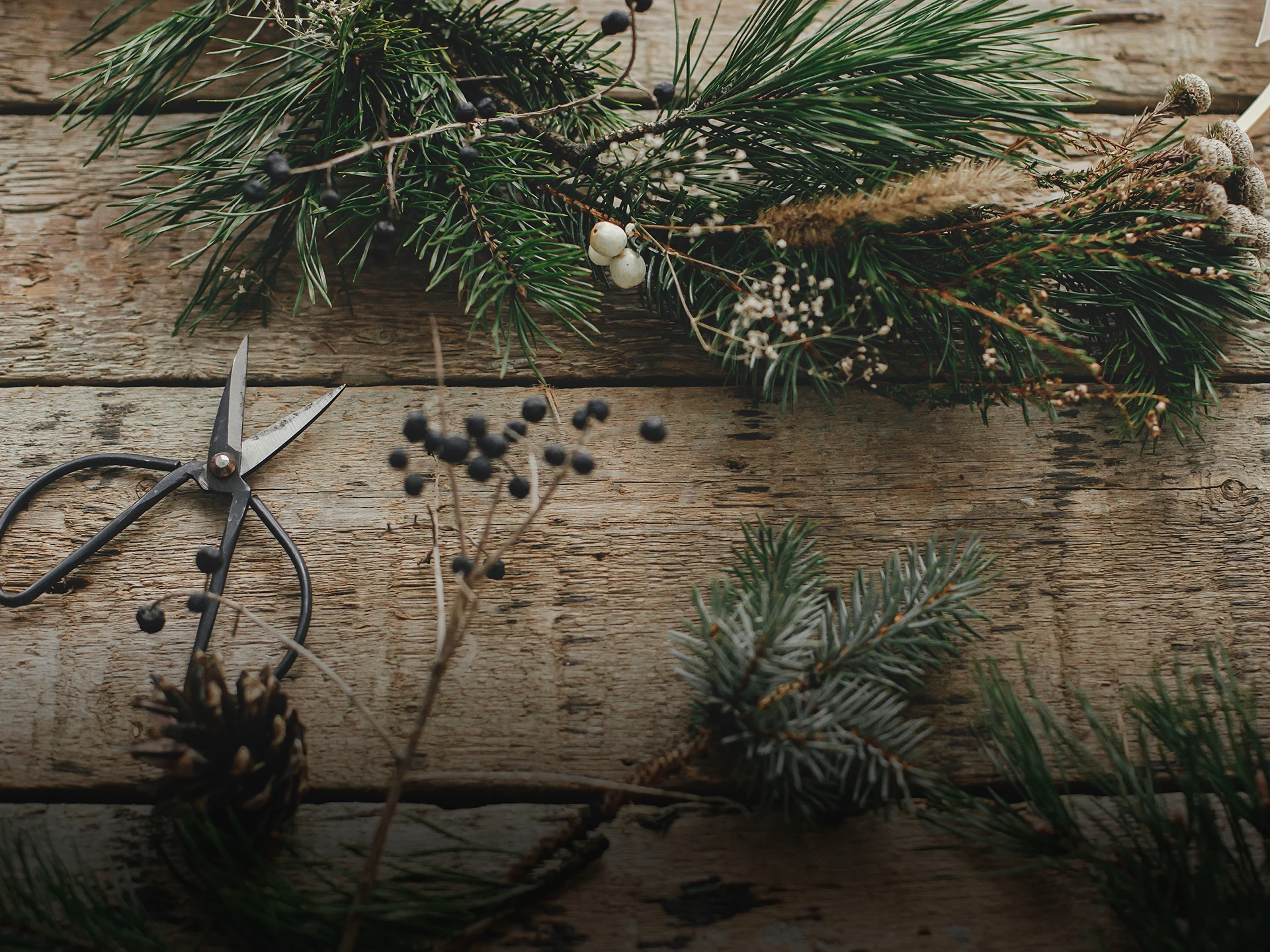 Woodkings Blog-Cover Dezember 2024: modernes Interieur mit hellem Holz-Esstisch, Stühlen und grüner Pflanze, warme Atmosphäre.