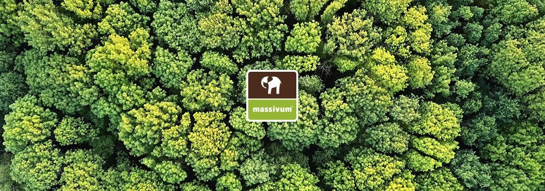 Waldmotiv als Einstieg zum Thema Holzherkunft und Verantwortung bei massivum